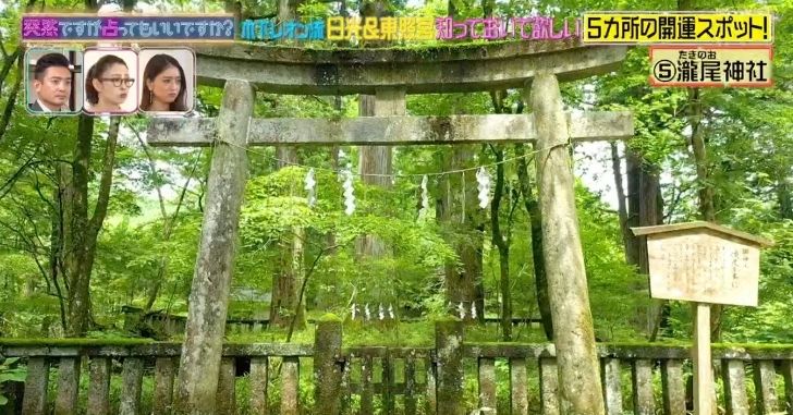 瀧尾神社の3本の杉